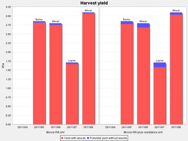 Weed Seed Wizard crop yield simulation of two scenarios; one with all herbicides working and one with Herbicide Group B and C resistance in wild radish (Crop yields with weeds (red) and Potential crop yields without weed competition (blue))