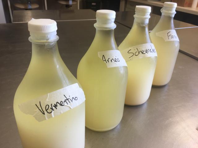 Settling wines in 2L glass vessels