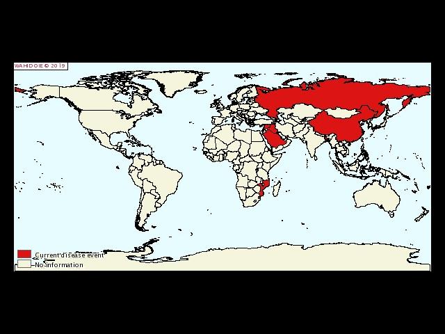 Current worldwide distribution of lumpy skin disease 2019 July to December worldwide distribution of lumpy skin disease