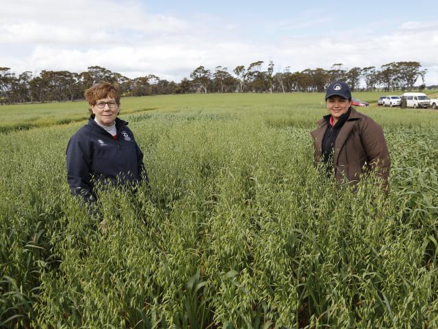 Koorabup oats two women standing in an oat crop