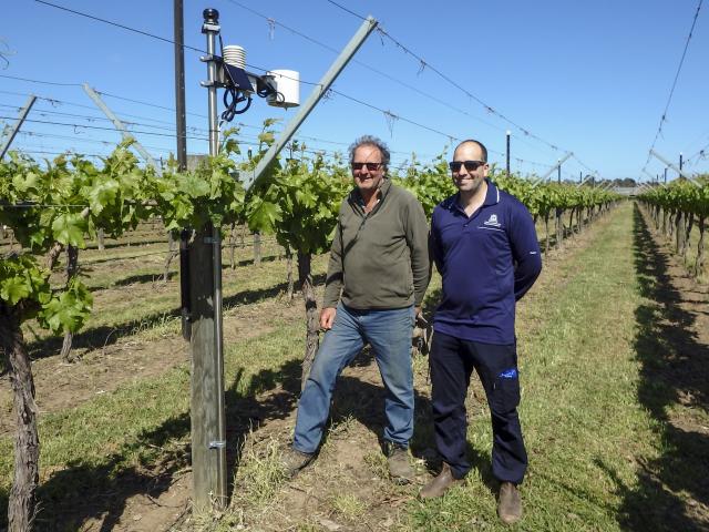 Table grape grower Philip Yukich (left) and DPIRD research scientist Dr Andrew Taylor next to one of the new weather stations in the Swan Valley being used for a powdery mildew project. Table grape grower Philip Yukich (left) and DPIRD research scientist Dr Andrew Taylor next to one of the new weather stations in the Swan Valley being used for a powdery mildew project.