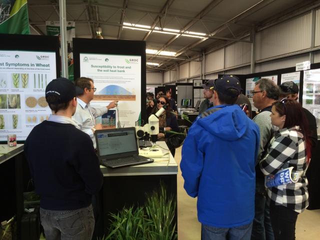Dowerin field day DPIRD Frost display