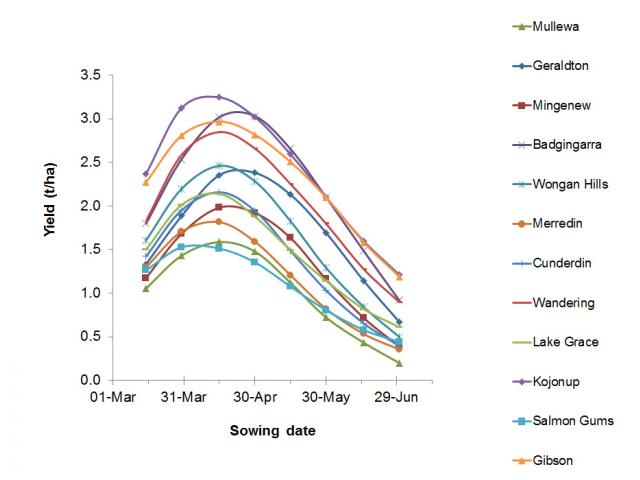 Average simulated yield (t/ha) for the period 1976-2016 for 12 locations