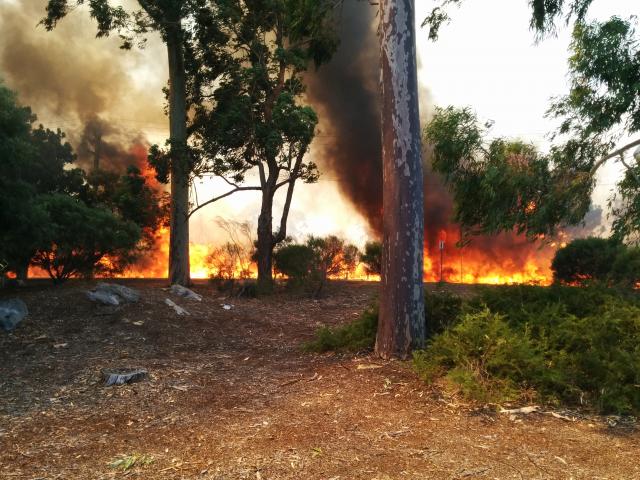 a bushfire