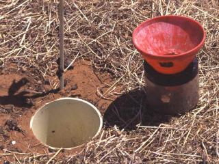 Pitfall traps buried in the soil to ground level can be used to assess the presence of African black beetle adults
