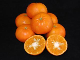 Afourer mandarin - image courtesy NSW Department of Primary Industries