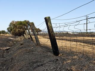 Scorched fence.