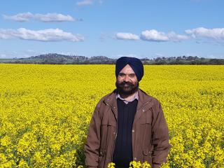 Man standing in a yellow canola crop.