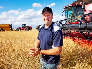 Man in a golden crop in front of a harvester. Man in a golden crop in front of a harvester.