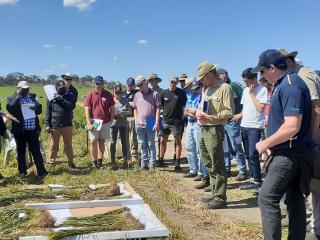 Man pointing to wheat plants on the ground to a crowd in a green paddock.