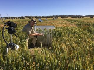 Man sitting with a computer and a camera in a paddock,