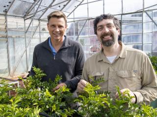 Two men standing with a plant in a glasshouse.