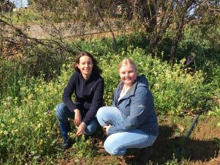 Two women crouching in a paddock of weeds.