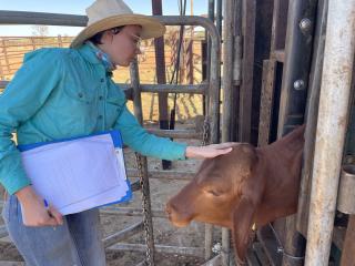 Woman patting a cow's head.