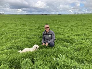 A man and a white dog kneeling in green pasture.