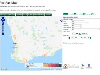 A screenshot of the PestFax map showing reported occurrences for the two weeks prior to 27 May 2020. A screenshot of the PestFax map showing reported occurrences for the two weeks prior to 27 May 2020.
