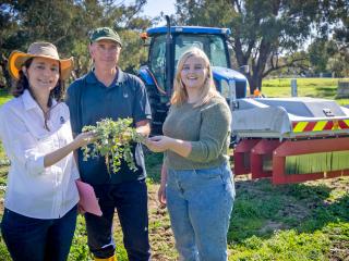 Three people holding weeds in front of a tractor with an electro weeding device on the front.