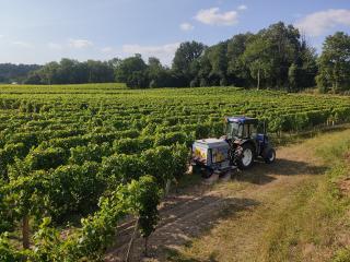A machine in a vineyard.