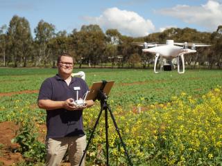 Man in a canola paddock flying a drone.