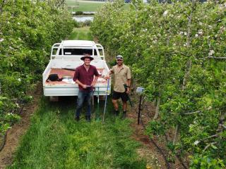 Two men in an orchard with a ute.