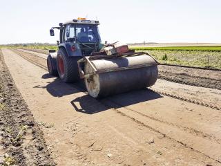 Mouldboard plough (background) and roller (foreground) Mouldboard plough and roller