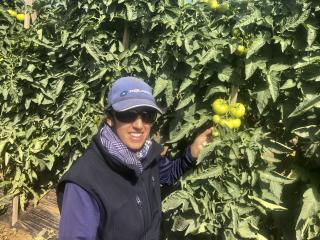 Woman standing next to a tomato plant