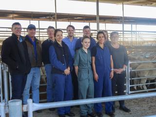 Rod Bushell, Katanning Saleyards manager (second left), pictured with Department of Primary Industries and Regional Development field vets during their Katanning workshop. Vets from left: Graham Mackereth, Broome; Kevin Hepworth, Bunbury; Vanessa Rushwort Groups of vets in saleyards
