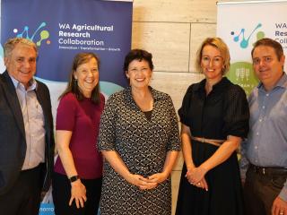 WA Agricultural Research Collaboration WA Agricultural Research Collaboration