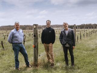Three men standing in a paddock of grape vines. Three men standing in a paddock of grape vines.