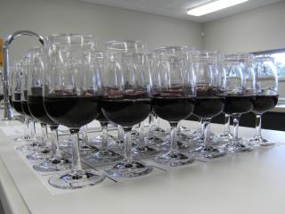 Wine sensory testing Wine sensory testing