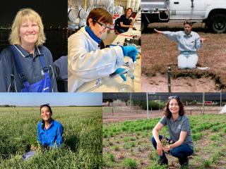 Montage of five photos of women at work in science.