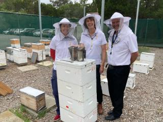 Three people in protective clothing with a bee hive. Three people in protective clothing with a bee hive.