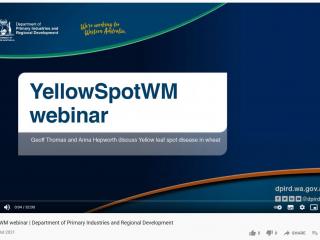 A screenshot of the YellowSpotWM webinar recording on YouTube
