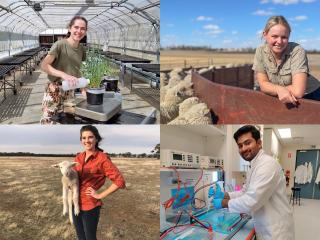 A montage of four pictures of young people working on farm or in a laboratory.