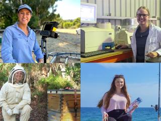A montage of four young women at work. A montage of four young women at work.