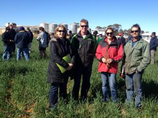Department of Agriculture and Food wheat agronomy researcher Christine Zaicou-Kunesch, Yuna grower Brady Green, Elders agronomist Belinda Eastough and Yuna grower Perry St Quintin, at this week’s Yuna Farm Improvement Group field walk.