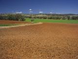 rich agricultural soil ready to plant crops