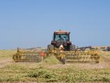 Image of cereal hay being raked 