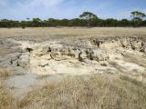 Dispersing (sodic) waterlogged soil 