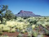 Photograph of a pilbara pastoral area