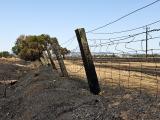 A fence burnt by a fire in a blackened paddock.