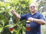 Department of Agriculture and Food senior technical officer Ernie Steiner holds home-made fruit fly traps.
