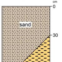 A stylised diagram of the soil profile showing the topsoil and subsoil layers for alkaline grey deep sandy duplex (soil group 401).  The soil profile is grey sand over alkaline sandy clay loam to clay at 30-80cm.