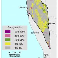 Broadscale map (1:250 000) of the West Midlands Agzone showing the distribution of sandy earths, with scattered distribution between Lancelin through to Dongara ranging between 3%–10%. In Geraldon distribution ranges between 50%–100%.