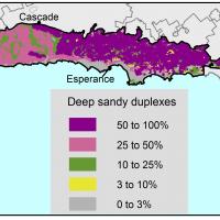 Broadscale map (1:250 000) of the Albany to Esperance Agzone showing the distribution of deep sandy duplexes. There is a high distribution of 50–100% near esperance to Cascade.  The Albany region is mainly 25–50% deep sandy duplexes.