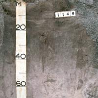 Soil pit showing the profile of pale deep sands in the Swan coastal plain region.