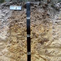 Soil pit showing the profile of duplex sandy gravel in the Stirling to Ravensthorpe region.  