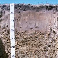 Soil pit showing the profile of alkaline grey deep sandy duplex in the Salmon Gums region.  The soil profile shows grey sand over alkaline sandy clay loam.