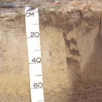 Soil pit showing the profile of reticulite deep sandy duplex in the Southern Wheatbelt region. Grey to yellow sand over mottled loamy subsoil at 80cm.