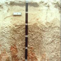 Soil pit showing the profile of gravelly pale deep sands in the West Midlands region.